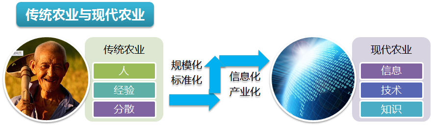 智能農(nóng)業(yè)物聯(lián)網(wǎng)監(jiān)控系統(tǒng)