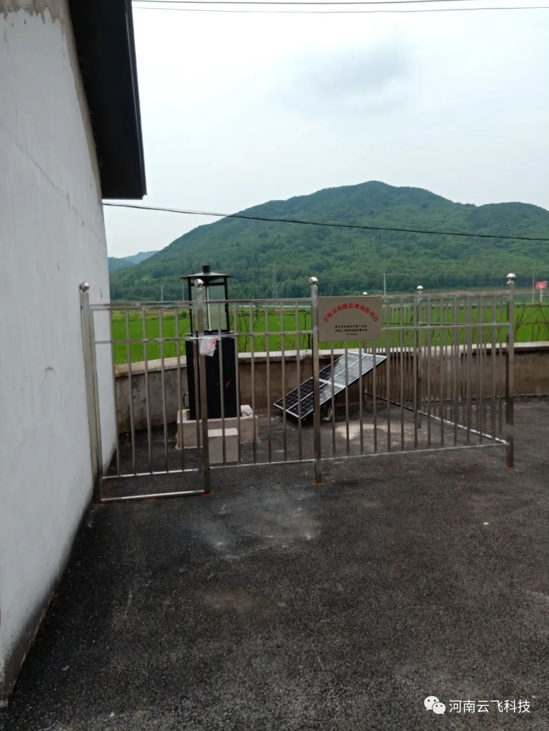 太陽能自動蟲情測報燈